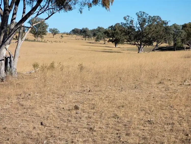 Seventh view of Homely rural property listing, Lot 3 Springdale Road, Glenlyon QLD 4380