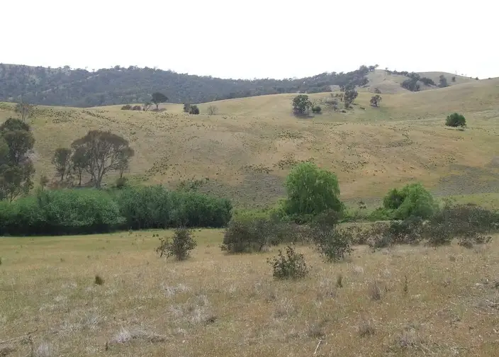 Fifth view of Homely rural property listing, Lots 11- 7 Levels Road, Golspie NSW 2580