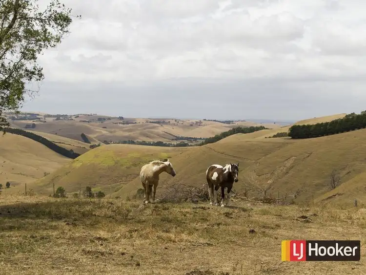 Third view of Homely house listing, 420 Sheepways Road, Krowera VIC 3945