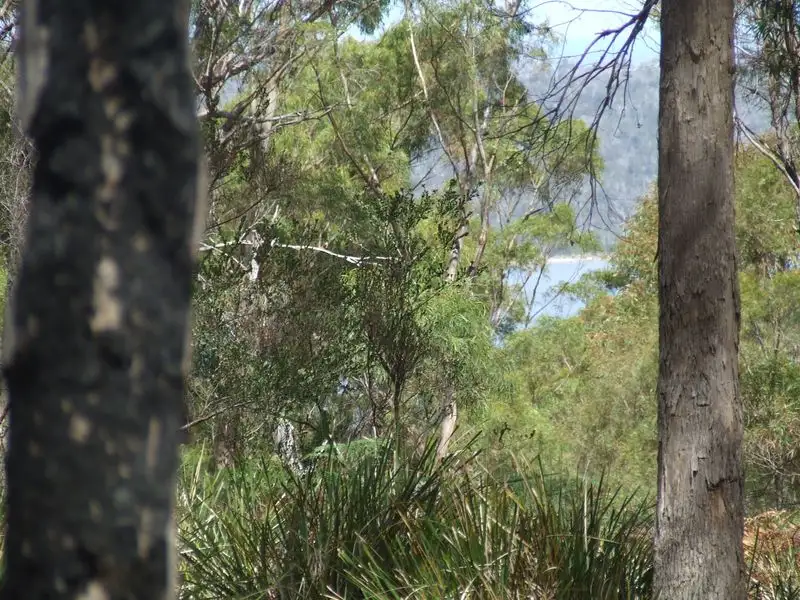 Main view of Homely land listing, 701a Binalong Bay Road, Binalong Bay TAS 7216