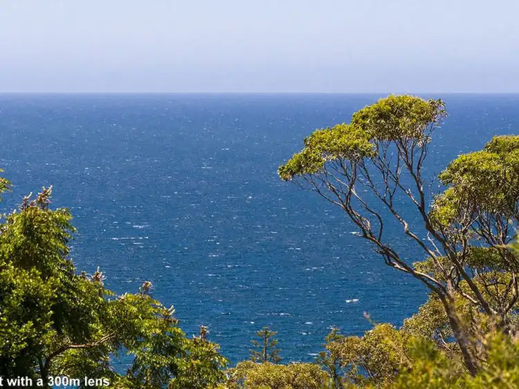 Fourth view of Homely house listing, 30 Beauty Drive, Avalon NSW 2107