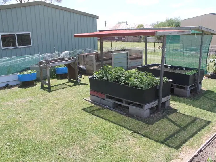 Seventh view of Homely house listing, 10 Young Street, Deepwater NSW 2371