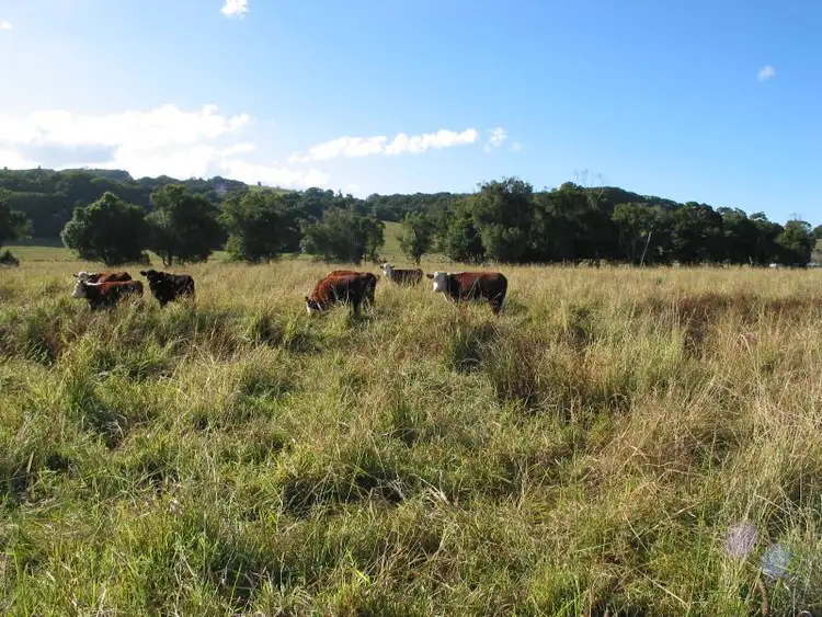 Fourth view of Homely acreage listing, 801 Wardell Road, Alstonville NSW 2477