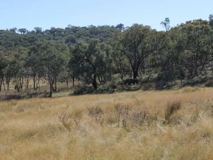 Fourth view of Homely acreage listing, Lot 20 Gulf Rd, Emmaville NSW 2371