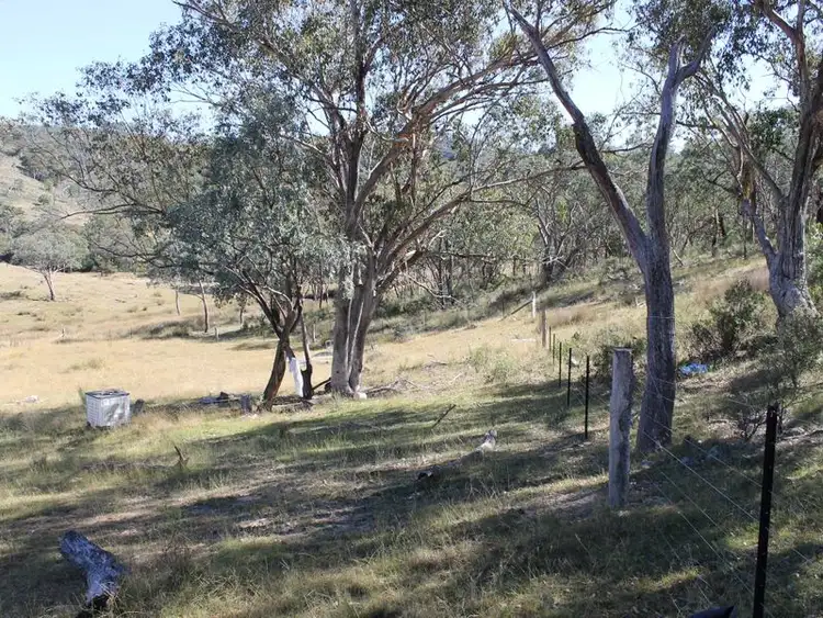 Sixth view of Homely acreage listing, Lot 20 Gulf Rd, Emmaville NSW 2371