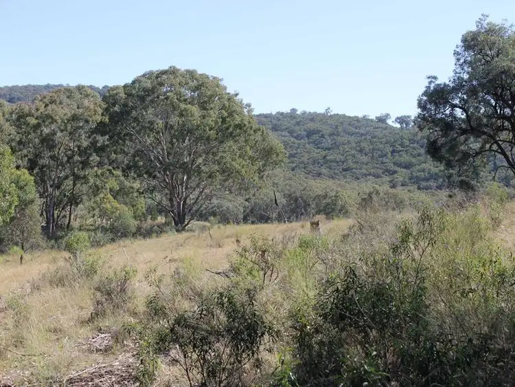Second view of Homely acreage listing, Lot 20 Gulf Rd, Emmaville NSW 2371