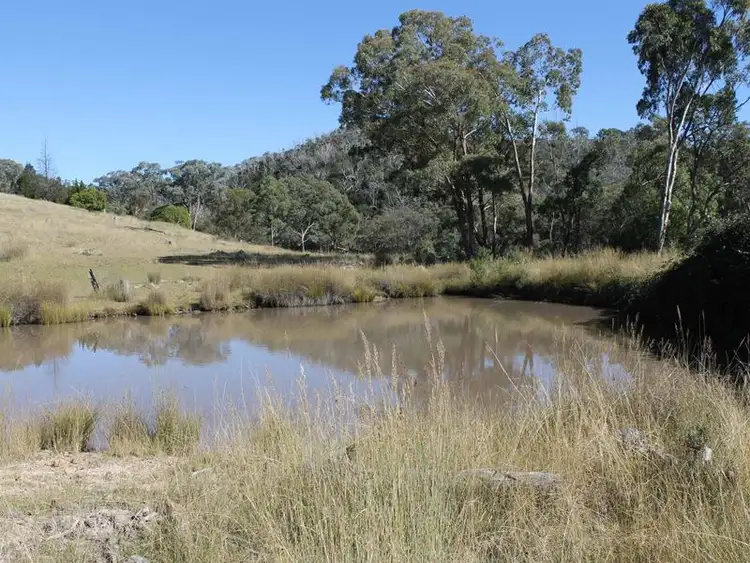 Lot 20 Gulf Rd, Emmaville NSW 2371