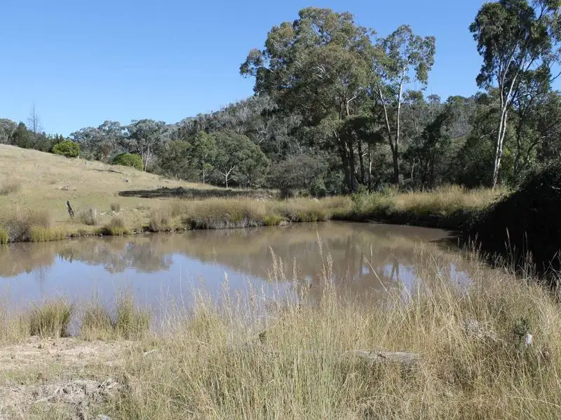 Main view of Homely acreage listing, Lot 20 Gulf Rd, Emmaville NSW 2371