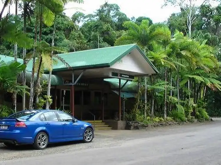 Sixth view of Homely land listing, 442 Cape Tribulation Road - Cow Bay, Daintree QLD 4873