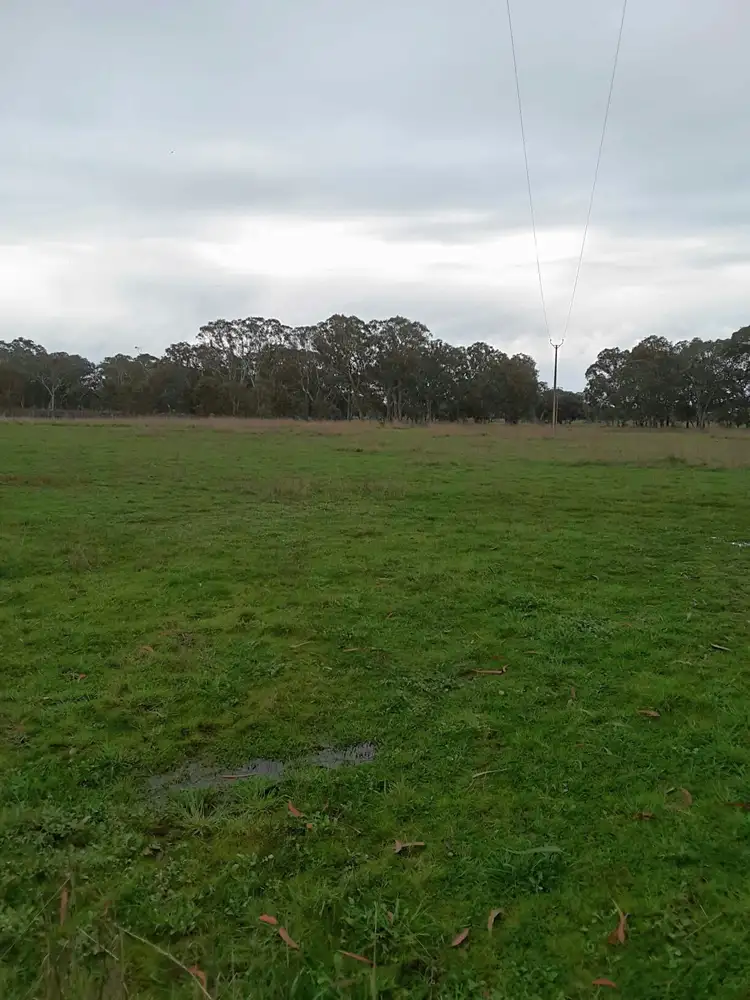 Second view of Homely rural property listing, 16663 Riddoch Highway, Penola SA 5291