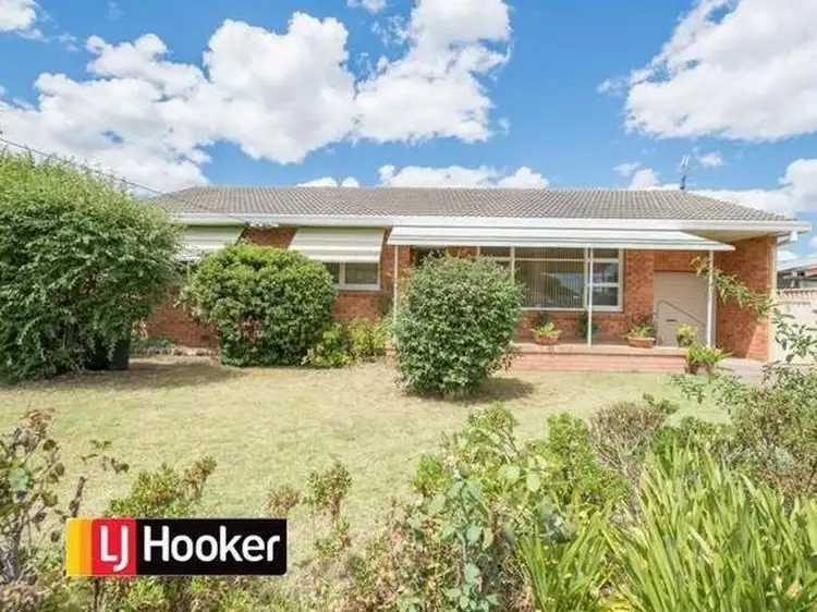 Main view of Homely house listing, 19 Petra Avenue, Tamworth NSW 2340