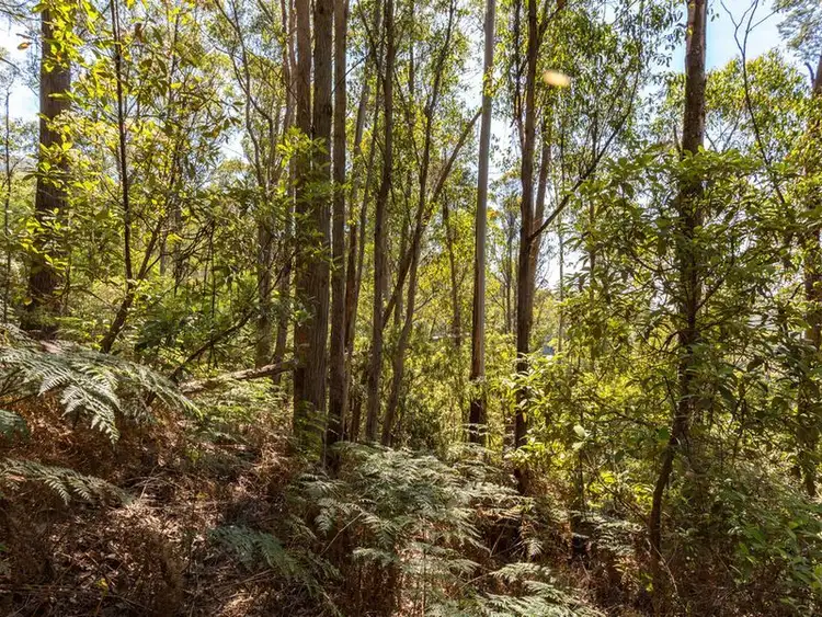 Fifth view of Homely land listing, Snug Tiers Road, Snug TAS 7054