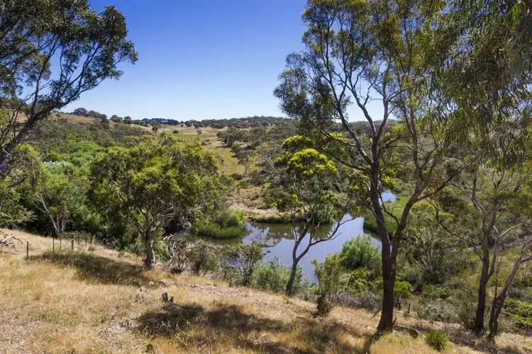 94 Molonglo River Drive, Carwoola NSW 2620