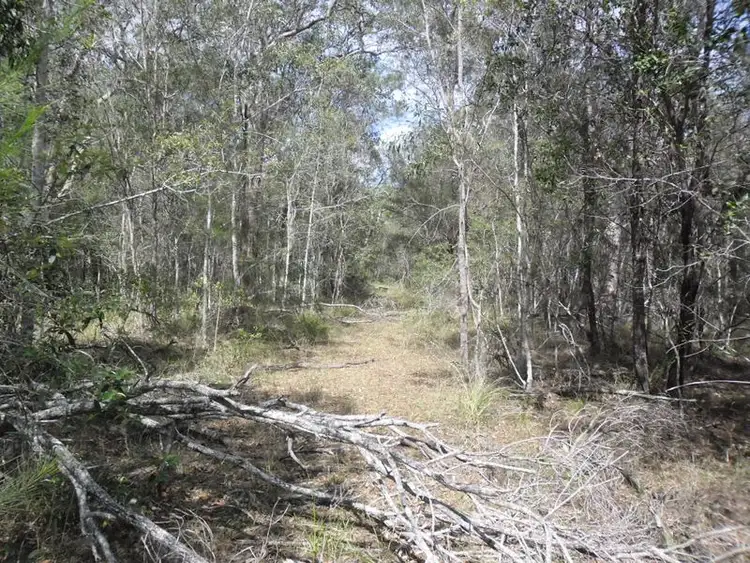 Fourth view of Homely rural property listing, 6275 Summerland Way Camira, Casino NSW 2470