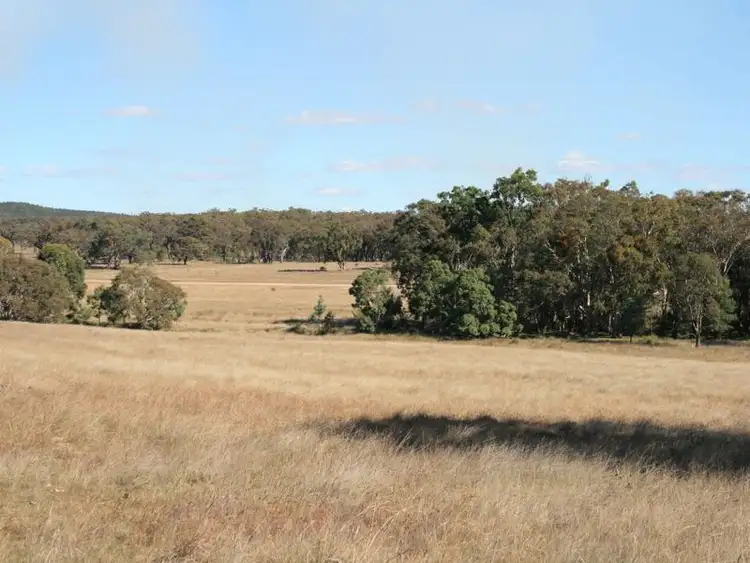 Fifth view of Homely rural property listing, Lot 240 Mt Janet  Road, Dalveen QLD 4374