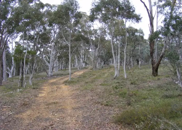 Second view of Homely rural property listing, 208 McLachlan Road, Bannaby NSW 2580