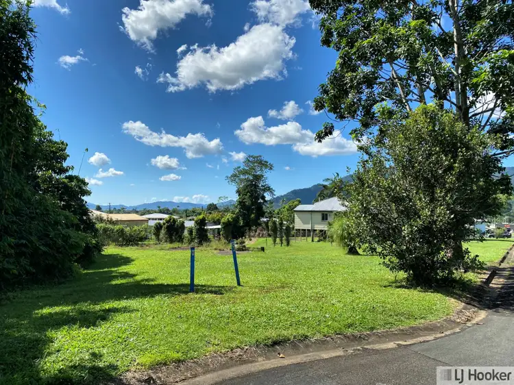 Seventh view of Homely land listing, 20 Henry Street, Tully QLD 4854