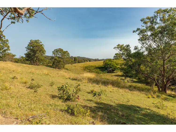 3773 The Bucketts Way, Krambach NSW 2429