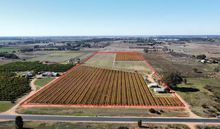 Main view of Homely rural property listing, 224 Koraleigh Road, Koraleigh NSW 2735