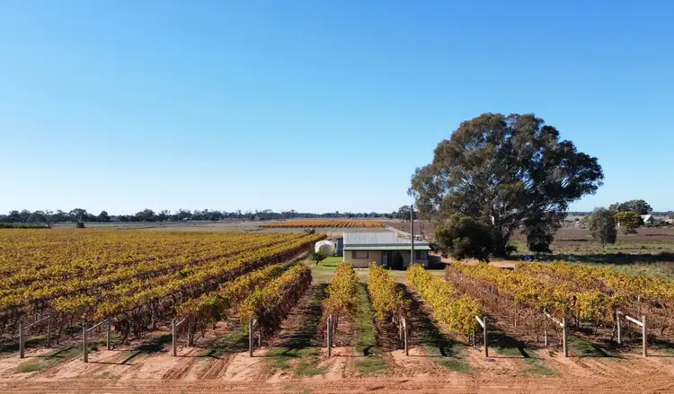 Second view of Homely rural property listing, 224 Koraleigh Road, Koraleigh NSW 2735