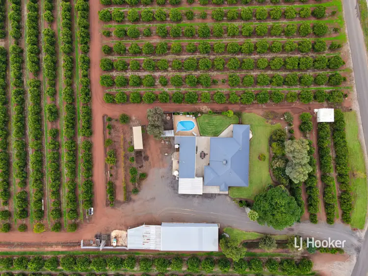 Main view of Homely house listing, 235 Scott Road, Griffith NSW 2680