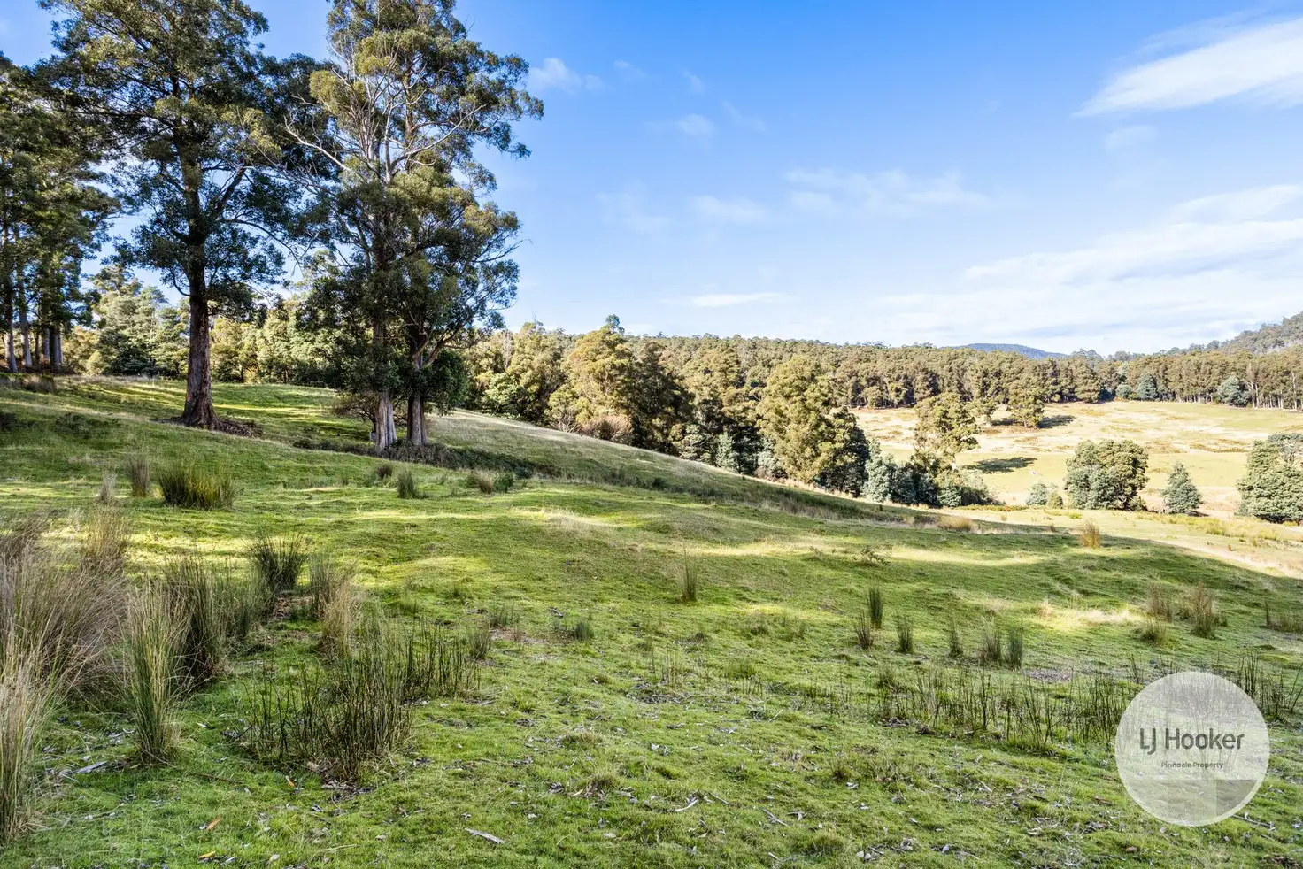 Main view of Homely land listing, Lot 2 Sculthorpes Road, Nicholls Rivulet TAS 7112