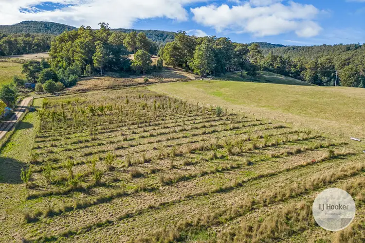 Sixth view of Homely land listing, Lot 1 Sculthorpes Road, Nicholls Rivulet TAS 7112
