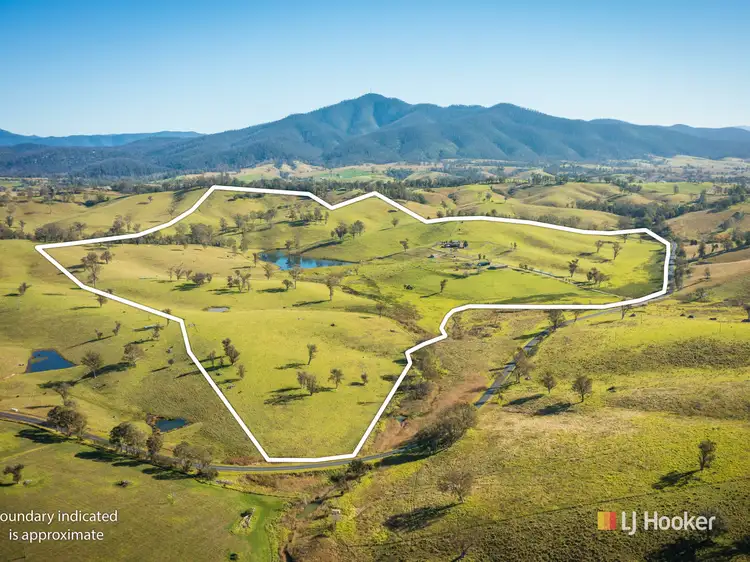 787 Wandella Road, Cobargo NSW 2550