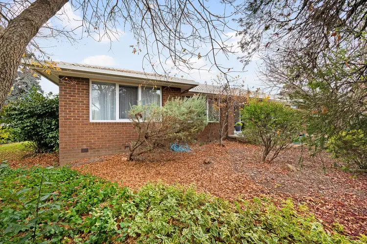 42 Messenger Street, Holt ACT 2615