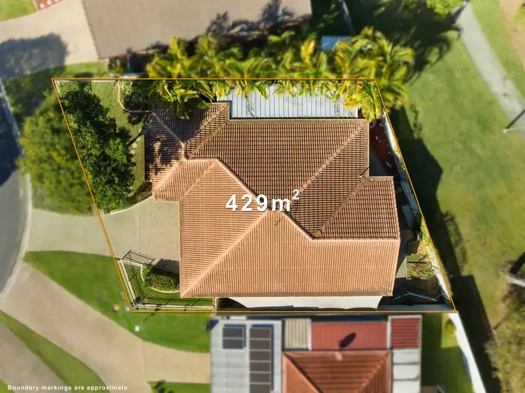 52 Ashwood Circuit, Birkdale QLD 4159