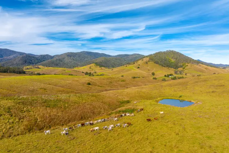 Main view of Homely rural property listing, 110 Cells Road, Number One NSW 2424