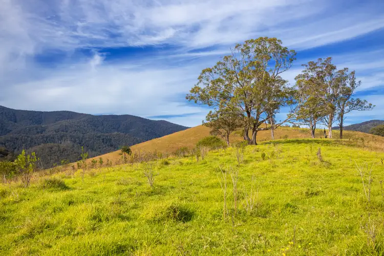 Fifth view of Homely rural property listing, 110 Cells Road, Number One NSW 2424