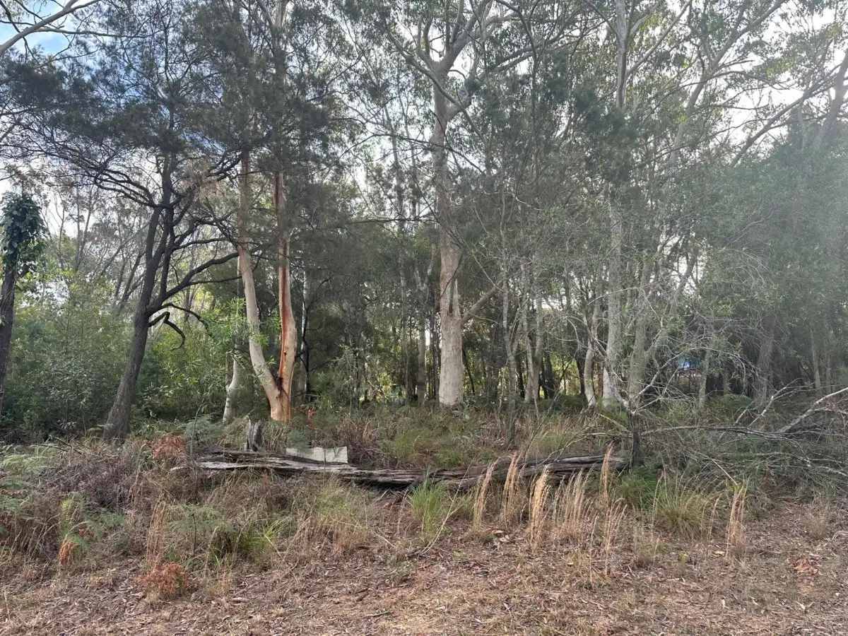 Main view of Homely land listing, 26 Canaipa Ridge Road, Russell Island QLD 4184