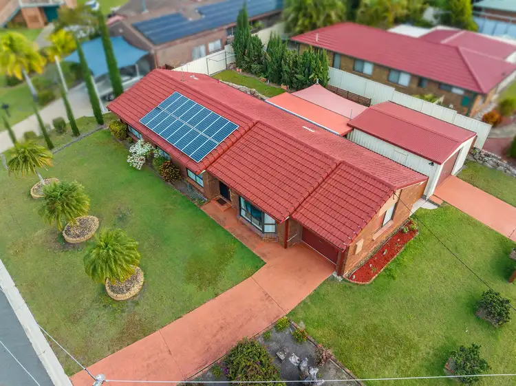 Main view of Homely house listing, 14 Pinewood Street, Capalaba QLD 4157