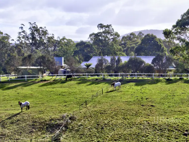 19 Gully Road, Nowa Nowa VIC 3887