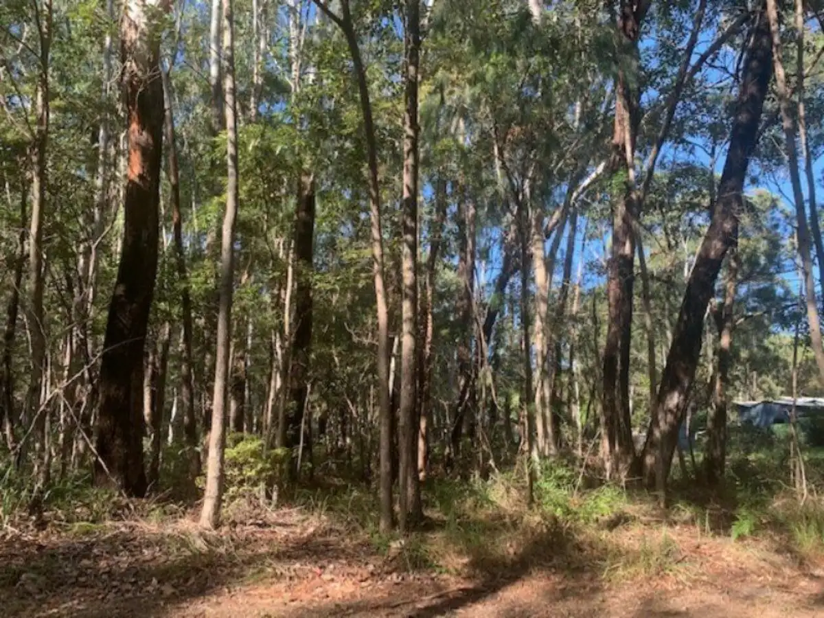Main view of Homely land listing, 25 Bamberry Street, Russell Island QLD 4184