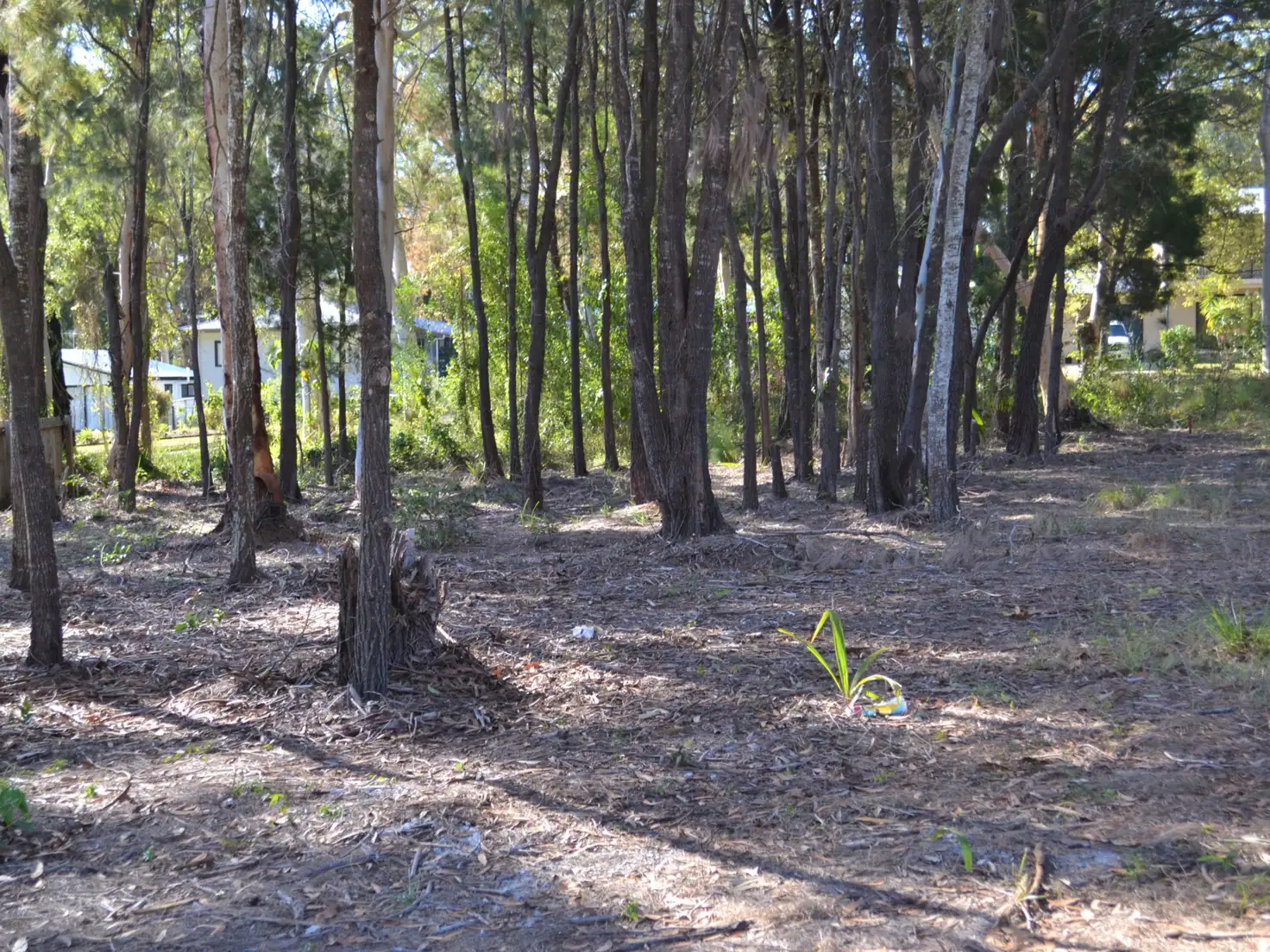 Main view of Homely land listing, 13 Barramundi Street, Macleay Island QLD 4184