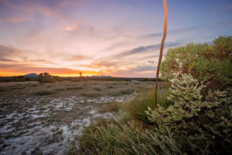 Third view of Homely land listing, 247 Banksia Road, Hopetoun WA 6348