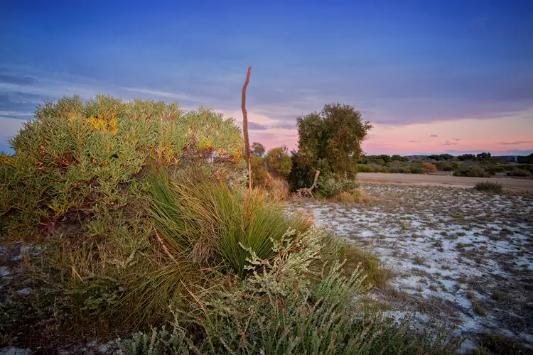 Fourth view of Homely land listing, 247 Banksia Road, Hopetoun WA 6348
