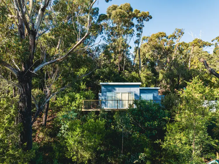 Main view of Homely house listing, 65 St Helens Point Road, Stieglitz TAS 7216