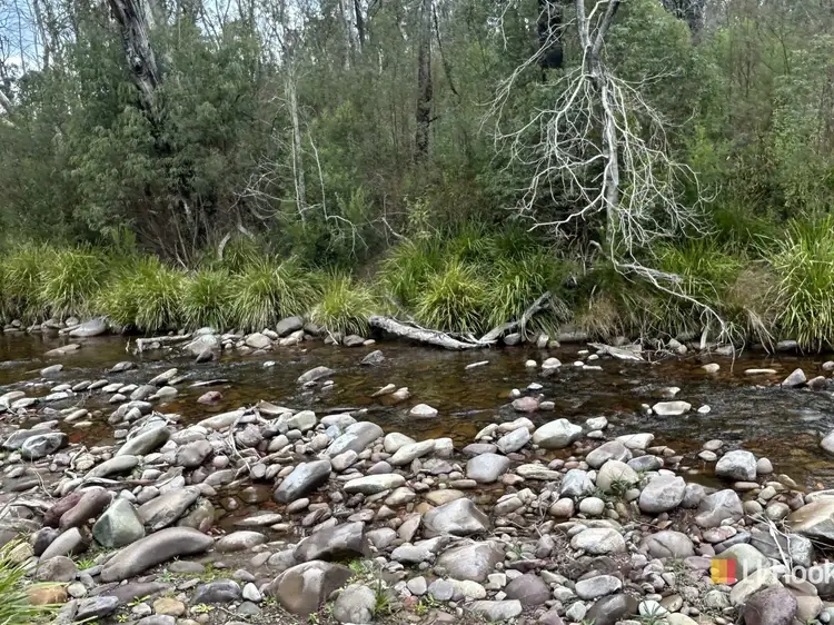 342 Murrabrine Forest Road, Cobargo NSW 2550