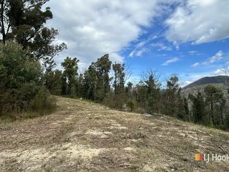 Third view of Homely land listing, 342 Murrabrine Forest Road, Cobargo NSW 2550
