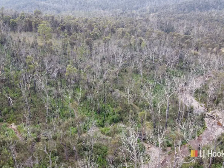 Fifth view of Homely land listing, 342 Murrabrine Forest Road, Cobargo NSW 2550