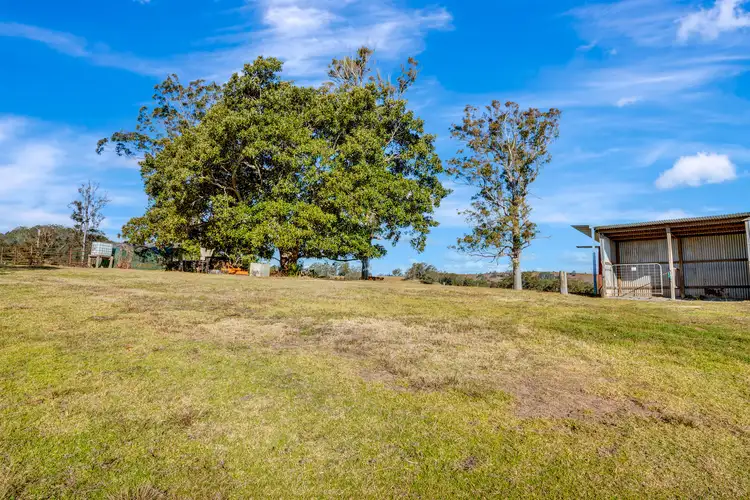 Fourth view of Homely rural property listing, 256 Turnback Road, Wherrol Flat NSW 2429