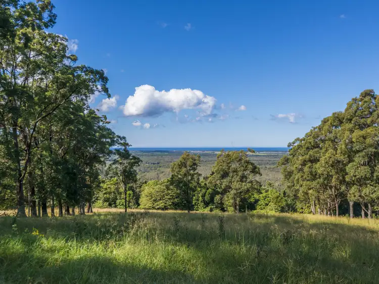 105 Buckombil Mountain Road, Meerschaum Vale NSW 2477