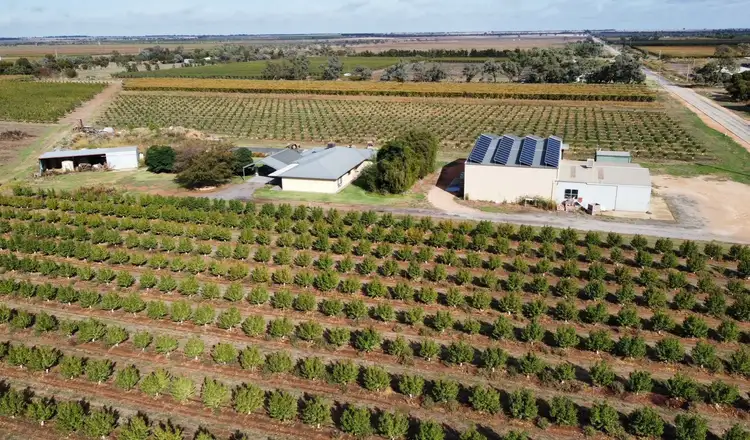 Second view of Homely rural property listing, Gammon & Chillingollah Roads, Woorinen VIC 3589