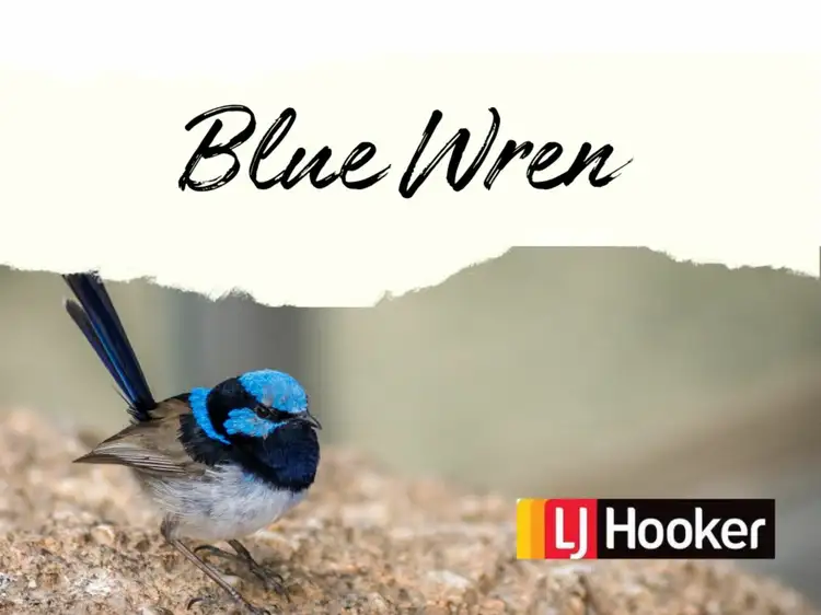 Lot Blue Wren Estate/128 Dappo Road, Narromine NSW 2821