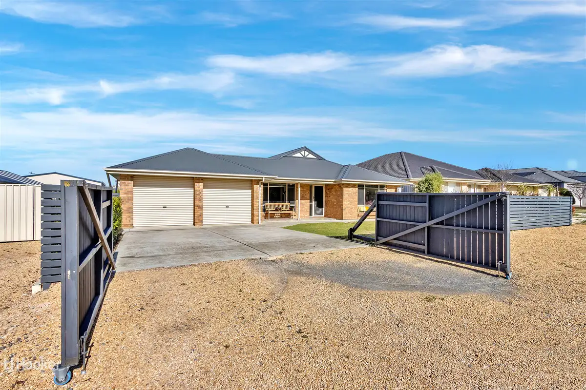 Main view of Homely house listing, 74 Borrow Street, Freeling SA 5372