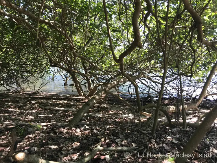 Main view of Homely land listing, 67 Coondooroopa Drive, Macleay Island QLD 4184