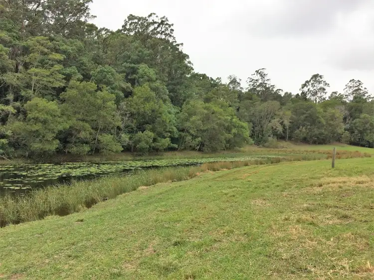 Sixth view of Homely rural property listing, 1111 South Arm Road, Brierfield NSW 2454